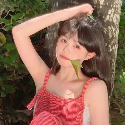 捕鸟达人让炮弹飞手游